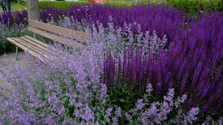 Plätze für Menschen, Pflanzen und Tiere