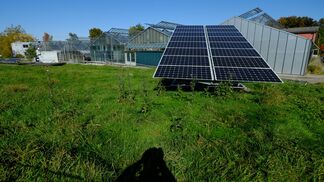 Solarenergie bald wichtigste Energiequelle