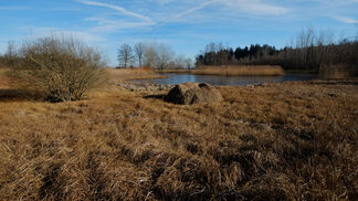 Die Zukunft der Moornutzung