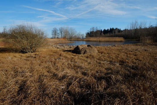 Foto: Urs Rüttimann