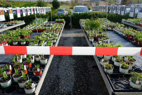 Foto: Urs Rüttimann