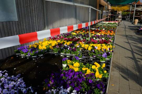 Foto: Urs Rüttimann