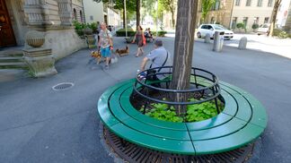 Lösen Rigolen Probleme mit Starkregen?