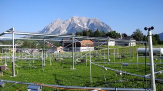 Wie Bodenorganismen auf Dürre reagieren