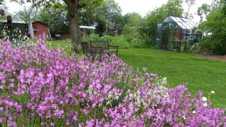 Gärten als Rückzugsinseln gefährdeter Arten