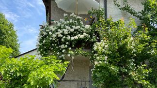 Luzern fördert Naturnähe im Privatgarten