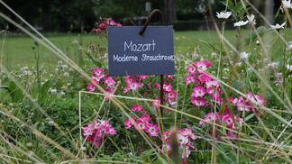 «Wir wollten weg vom Friedhofsgroove»