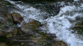 Zuerst Erholung, dann Stagnation