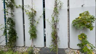 Norm prSIA 312 in Vernehmlassung