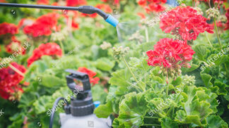 Mit Bildung zu weniger PSM-Einsätzen