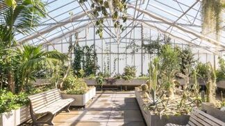 Neues Gewächshaus auf dem Oeschberg