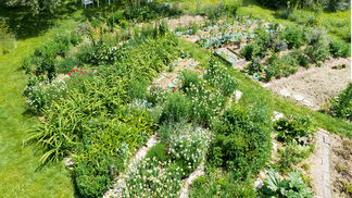 Ein Jahr im Permakulturgarten 