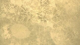 Kunststoffabbau in kalten Böden