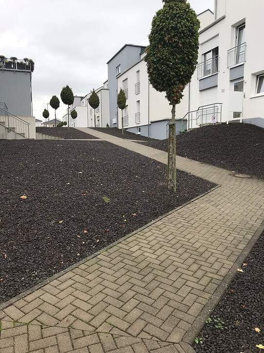 Schottergarten in einer Wohnanlage Bild: CC_Steingarten123 