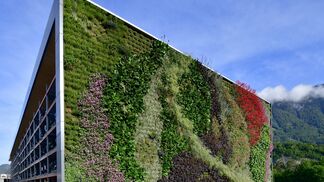 Skygardens: 1. Preis für Fassadenbegrünung