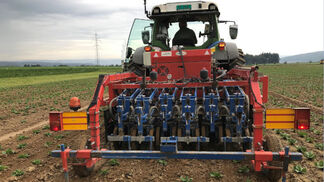 «PFLOPF» soll den PSM-Einsatz reduzieren