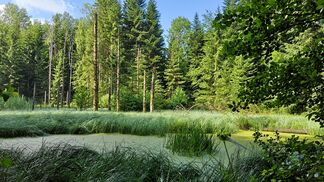 Preis an Waadtländer Naturerlebnispark