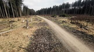 «Menschheit bricht alle falschen Rekorde»