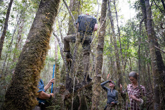 Auf der Suche nach uralten Holzproben. Foto: zVg