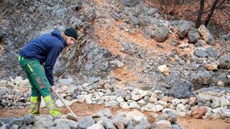 Der Weg zum Biodiversitätsförderer