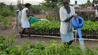 Fällag AG und Zoo Zürich forsten auf