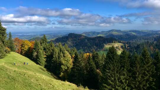 Dichte, artenreiche Wälder bieten einen besseren Schutz vor Naturgefahren.  Foto: Claudia Bertoldi