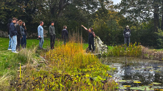Im Naturgarten von Jo McKerr.