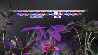 Intelligente Lampe stimuliert Wachstum