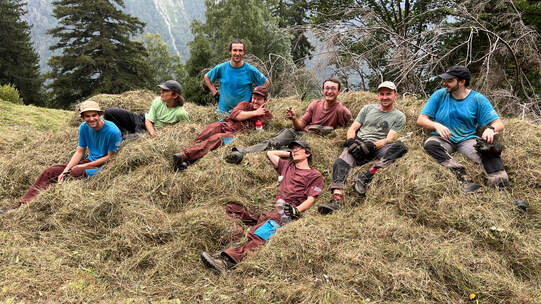 Die Gruppe «Pro Biotop» im Einsatz im Flachmoor 4001 «Garti» in der Lenk (BE).  Foto: Michael Vogel