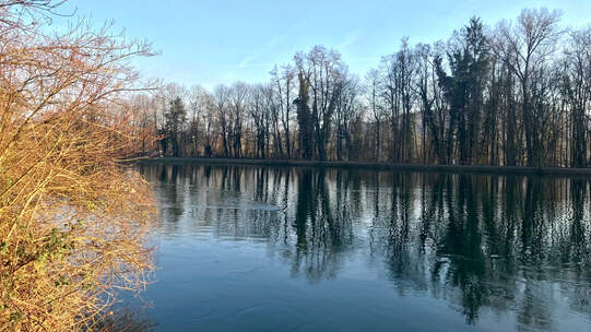 Die Idylle ist oft Schein. Pestizideinträge in Fliessgewässern gefährden immer noch die Gewässerorganismen und führen zum Verlust der Artenvielfalt. Foto: Claudia Bertoldi