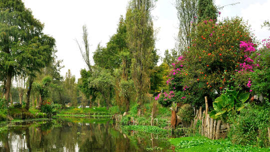 Chinampas sind nach dem Nahuatl-Wort «chinamitl» benannt, das «Zaun aus Rohrschilf» bedeutet. Die künstlich angelegten Anbauflächen verbinden Gartenbau mit Wasserlandschaft. Foto: LBM1948 / Wikimedia