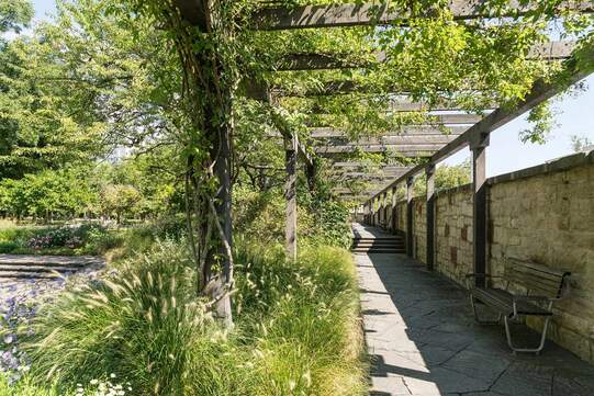 Der Kannenfeldpark in Basel. Foto: Noah Santer