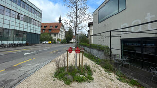 Bund fördert Biodiversität und Klimaschutz