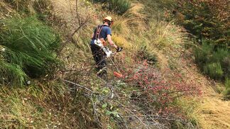  Pro Natura sucht Gärtner für Naturschutz