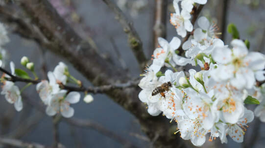 Foto: Urs Rüttimann