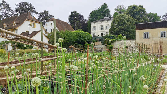 Der Hauptsitz von ProSpecieRara befindet sich in den Basler Merian Gärten. Hier wachsen seltene Gemüse-, Beeren- und Obstsorten. Foto: Nicole Egloff