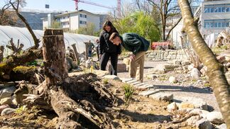 Vernetzte Natur – Lebenswerte Stadt
