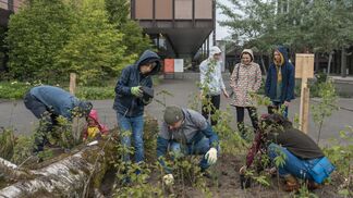 Neue Wege zur Erhaltung der Biodiversität