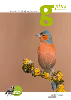 Broschüre Vogelfreundlich