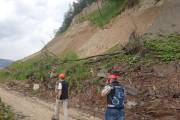 Holzwollevliese schützen vor Erosion 