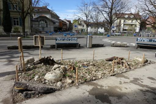 Einen Tag nach der Entsieglung der «Modellfläche 1» beim alten Breitenrainschulhaus (Foto oben) war die zwölf Quadratmeter grosse Fläche fertig zum Bepflanzen. Auch an kleine Verstecke für künftige Bewohner wurde gedacht. 
Fotos: Simon Bolz & Katrin Morina, OK Wildpflanzen Märit