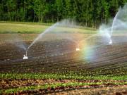 Wasserbedarf steigt um bis zu 20 Prozent