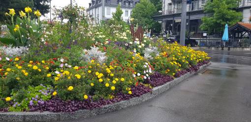 Gemeinde Interlaken, Bereich Infrastruktur, Interlaken