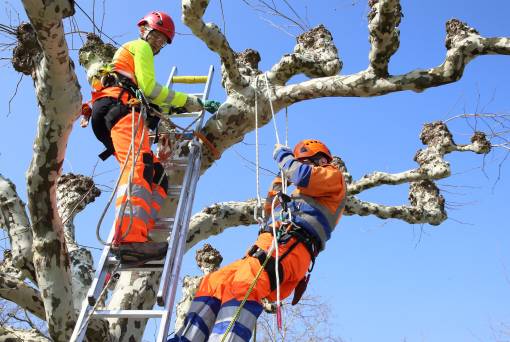 Die neuen Arbeitsstandards werden bereits erfolgreich angewendet. Foto: zVg JS