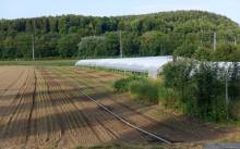 Der Einsatz moderner Geräte und die Umstellung auf Mischkulturen und Bodenbedeckung würden Gemüsebauern bereits heute ermöglichen, auf Herbizide zu verzichten. (Foto: ur) 