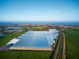 Weil Gewächshäuser Flugzeuge blenden könnten, sah die Revision des Luftfahrtgesetzes eine Bewilligung dafür vor.