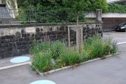 «Spiel ohne Grenzen» für mehr Stadtnatur