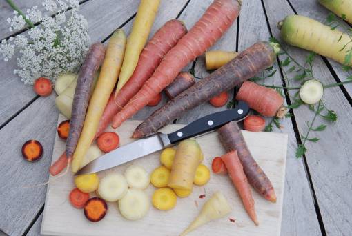 Die Ernährungssicherheit ist laut JardinSuisse in der Schweiz sehr hoch. 
