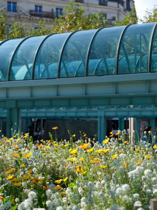 Fleurissement rd-pt Plainpalai