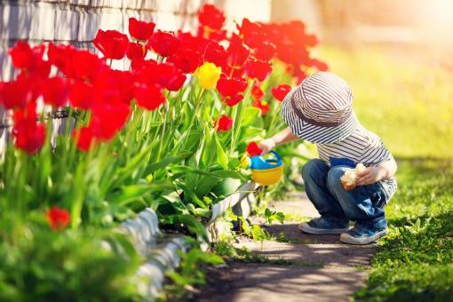 Bis Ende Juli können sich Kitas mit ihren Projekten der Gartengestaltung bewerben. Eine Jury kürt die Sieger, die Umsetzung wird von JardinSuisse-Mitgliedern verwirklicht. Foto: zVg